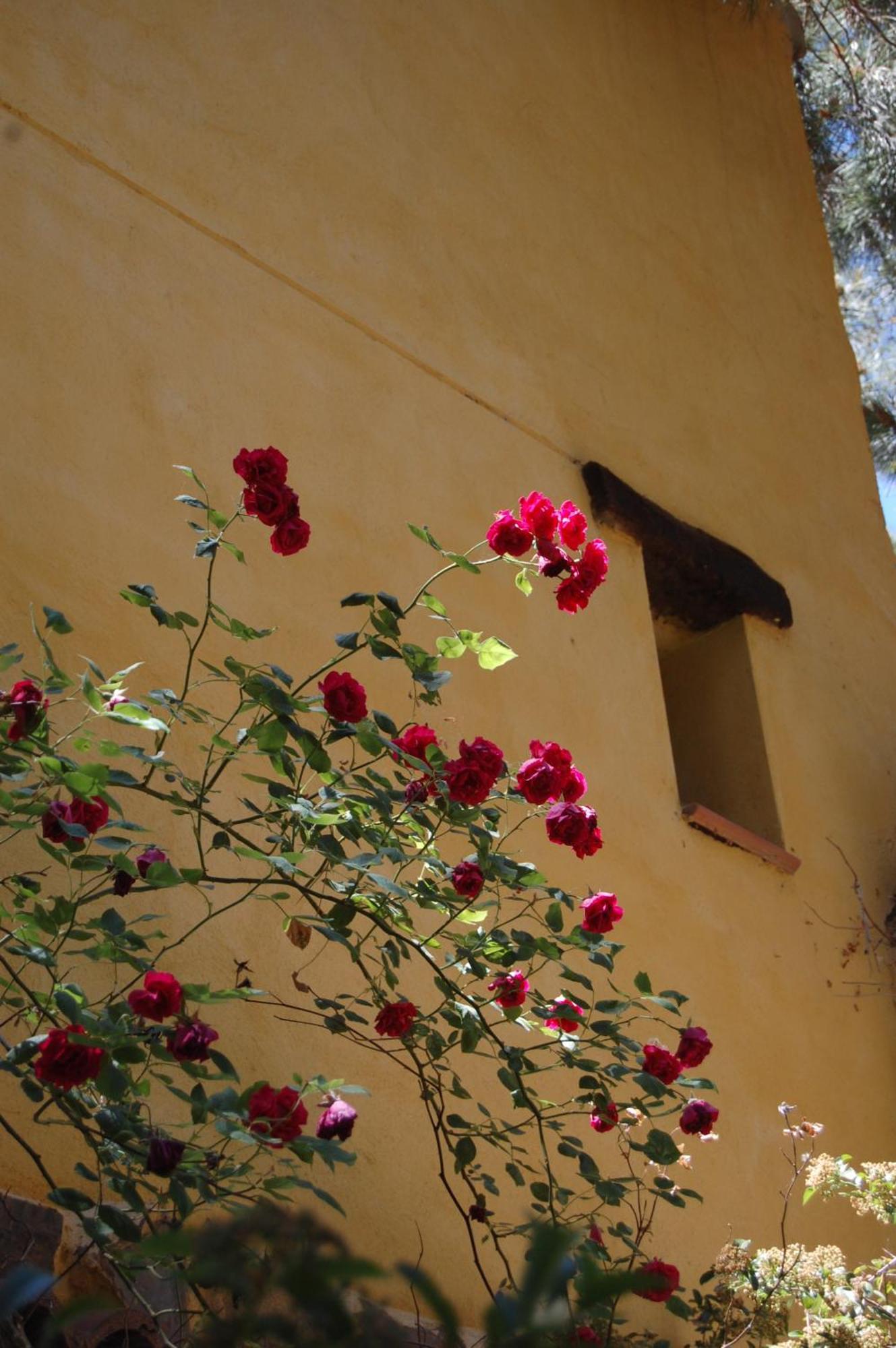 Rural Arco Iris Cuenca Hotel เกว็งกา ภายนอก รูปภาพ
